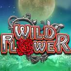 wild flower slot